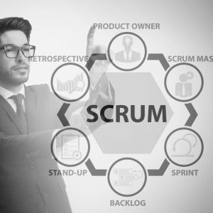 Scrum Product Owner