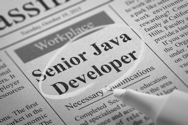 Java Developer - Term List