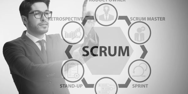 Scrum Product Owner