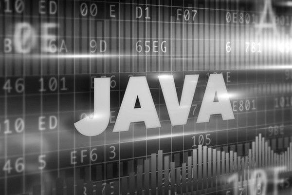 Java Programming Language