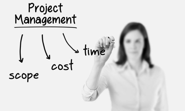 Project Manager