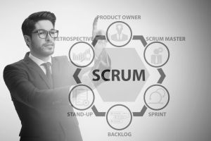 Scrum Product Owner