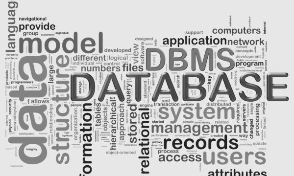 DBMS